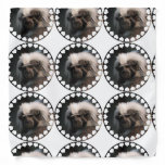 Cute Cotton Topped Tamarin Bandana