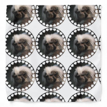 Cute Cotton Topped Tamarin Bandana