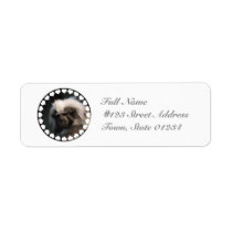 Cute Cotton Topped Tamarin Mailing Labels