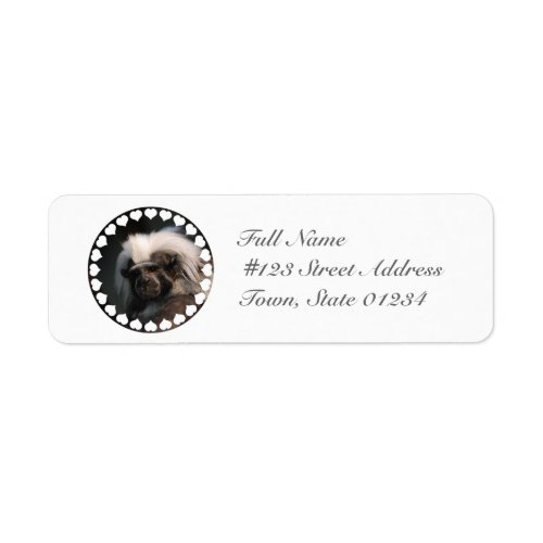 Cute Cotton Topped Tamarin Mailing Labels