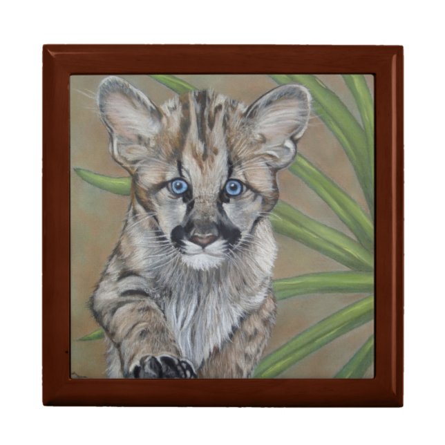 cute cougar kitten wildlife realist art gift box (Front)