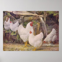 Cute Country vintage Chickens poster