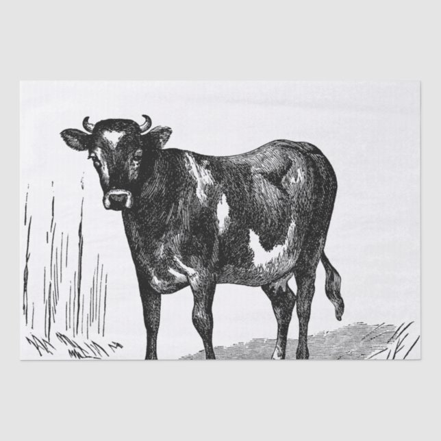 Cute Country vintage cow Farm party Tissue Paper (Front)