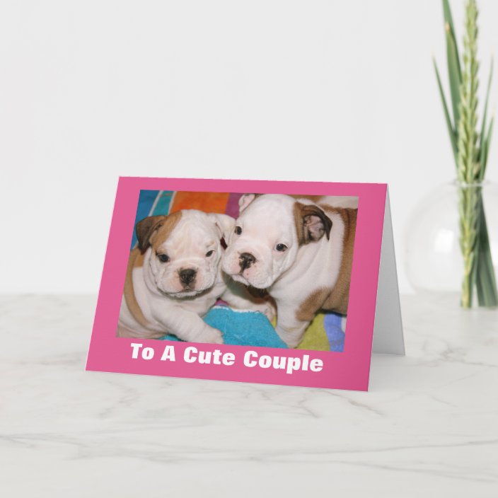 Cute Couple English Bulldog Puppies Valentine Holiday Card
