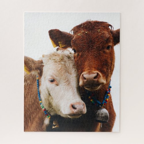 Cute couple of cows jigsaw puzzle