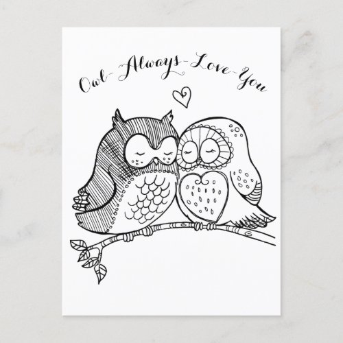 Cute Couple Owl Always Love You  Postcard