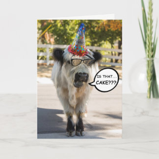 Cute Cow Birthday Card