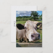 CUTE COW BUSINESS CARD (Front/Back)