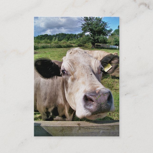 CUTE COW BUSINESS CARD (Front)