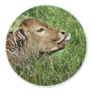 CUTE COW CERAMIC KNOB