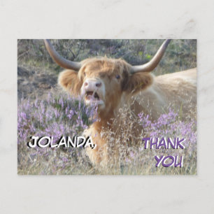 Cute Cow Close Up Thank You Postcard