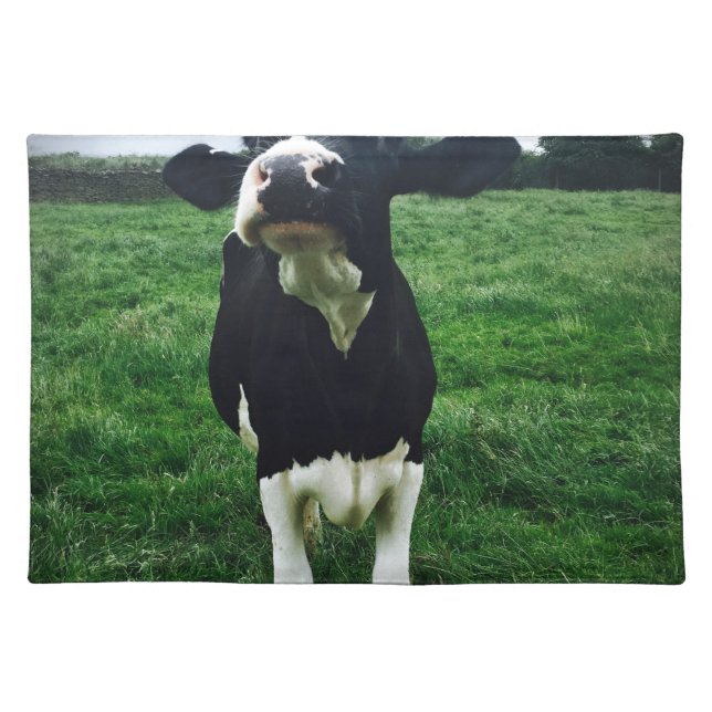 Cute cow farm animal calf cloth placemat (Front)