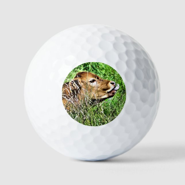 CUTE COW GOLF BALLS (Front)