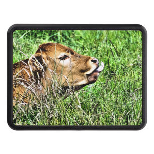 CUTE COW HITCH COVER
