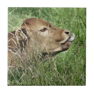 CUTE COW TILE