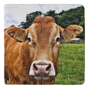 CUTE COW TRIVET