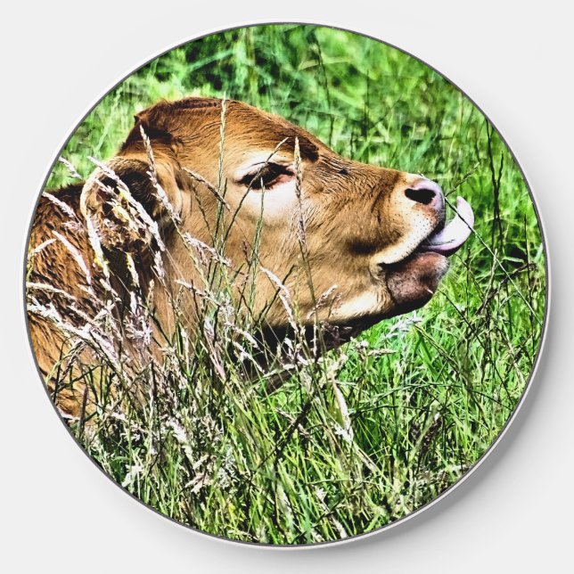 CUTE COW WIRELESS CHARGER  (Front)