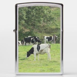 Cute Cows in the Pasture on Farm land Zippo Lighter