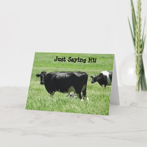 Cute Cows Just Saying Hi Card to Keep in Touch