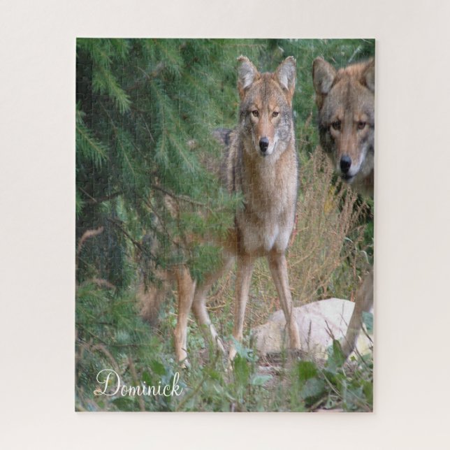 Cute Coyote Puzzle (Vertical)