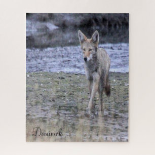 Cute Coyote Puzzle