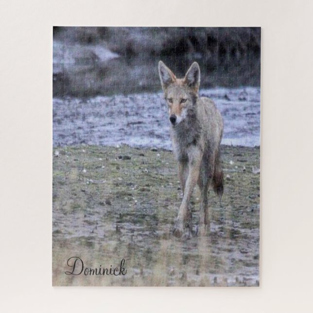 Cute Coyote Puzzle (Vertical)
