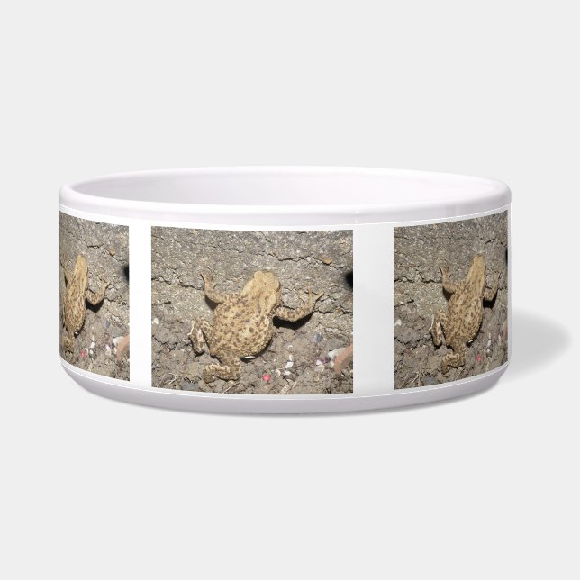 Cute Crawling Toad Bowl (Left)
