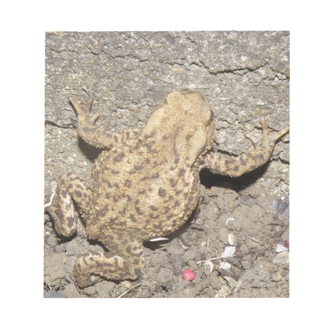 Cute Crawling Toad Notepad (Front)