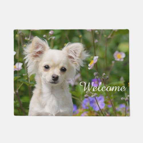 Cute cream Chihuahua Dog Puppy Pet Photo _ Welcome Doormat