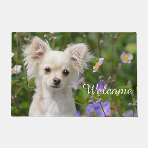Cute cream Chihuahua Dog Puppy Pet Photo  Welcome Doormat