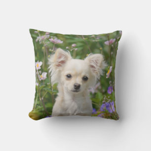Cute cream Chihuahua Dog Puppy Photo - Throw Pillow