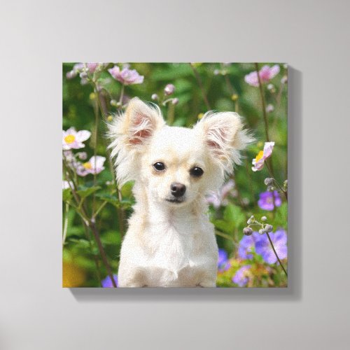 Cute cream Chihuahua Dog Puppy Photo _ Wrapped Canvas Print