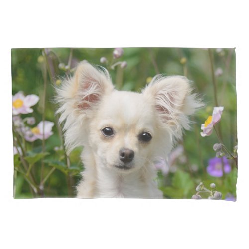 Cute cream Chihuahua Dog Puppy Portrait Photo _ Pillow Case