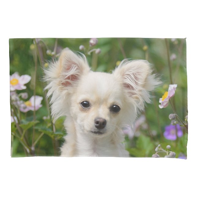 Cute cream Chihuahua Dog Puppy Portrait Photo - Pillow Case (Front)