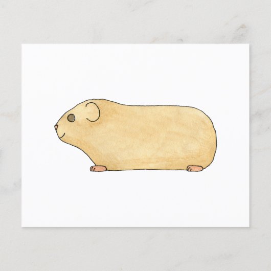 Cute Cream Guinea Pig. (Back)