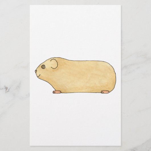 Cute Cream Guinea Pig. (Front)