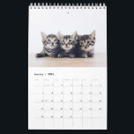 Cute Create Your Own Cat Pet Photo Calendar<br><div class="desc">It's a cute little cats and kitten pet photo calendar design.  All the photos and text are customizable. Perfect gift for cat lovers.</div>