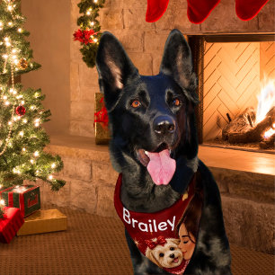 Cute Crimson Christmas Dog Name Pet Bandana Collar