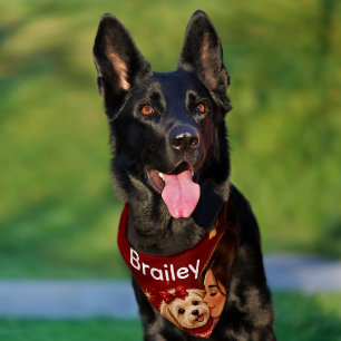 Cute Crimson Christmas Dog Name Pet Bandana Collar