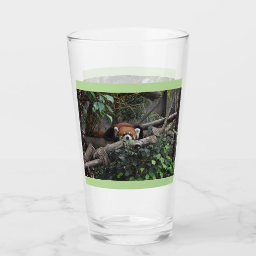 Cute Crouching Red Panda Glass
