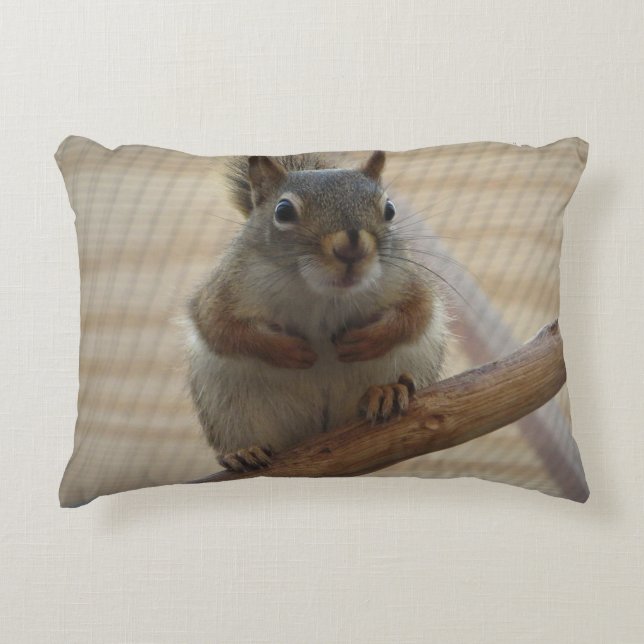 Cute Crouching Squirrel on Branch Accent Pillow (Front)