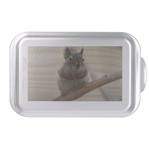 Cute Crouching Squirrel on Branch Cake Pan