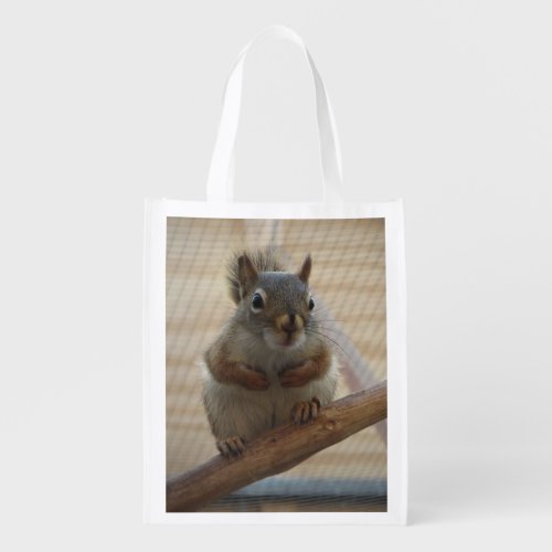 Cute Crouching Squirrel on Branch Grocery Bag
