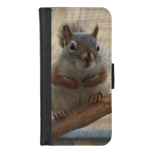 Cute Crouching Squirrel on Branch iPhone Wallet Case (Front)