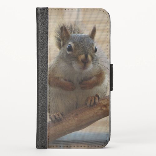 Cute Crouching Squirrel on Branch iPhone X Wallet Case