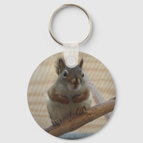Cute Crouching Squirrel on Branch Keychain