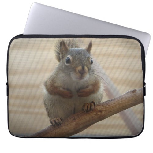 Cute Crouching Squirrel on Branch Laptop Sleeve