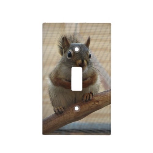 Cute Crouching Squirrel on Branch Light Switch Cover