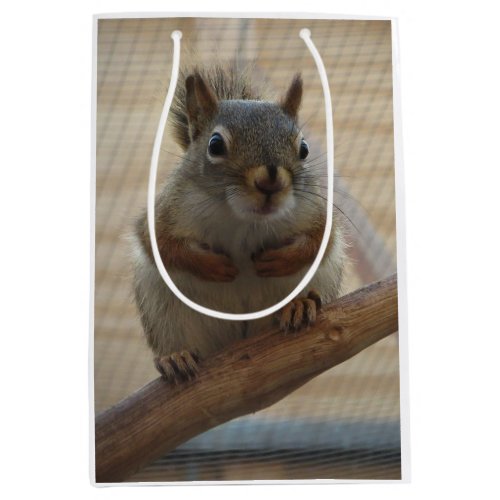 Cute Crouching Squirrel on Branch Medium Gift Bag