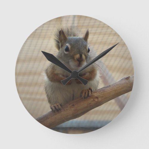 Cute Crouching Squirrel on Branch Round Clock